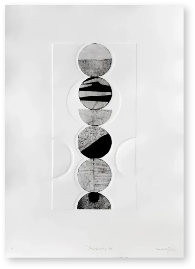 Wiehan De Jager - Transforming VIII