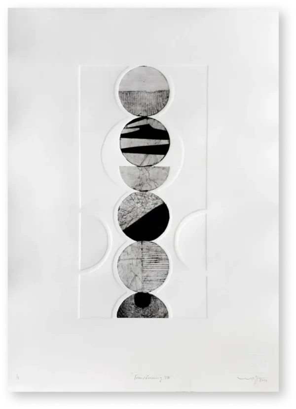 Wiehan de Jager_Transforming VIII