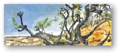 Jeremiah Van der Want - Through the Branches