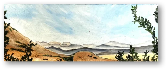 South African Artist