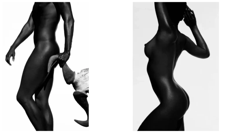 Matthew Willman Banner 1