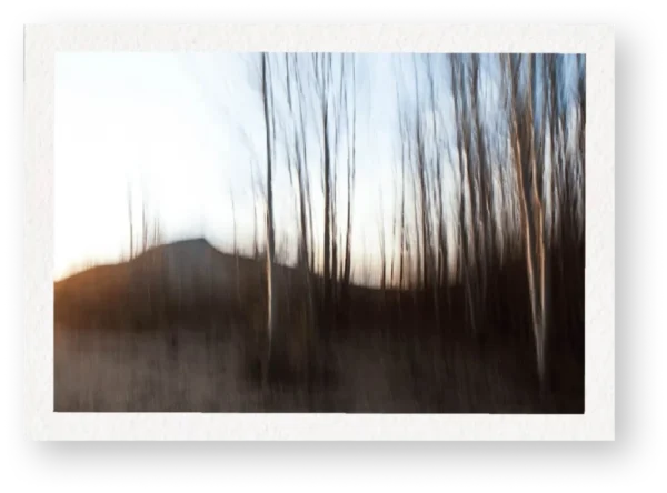 Katherine Hamilton - Blanco Trees Portal No. 1 5 Katherine Hamilton - Blanco Trees Portal No. 1