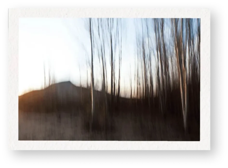 Katherine Hamilton - Blanco Trees Portal No. 1 1 Katherine Hamilton - Blanco Trees Portal No. 1