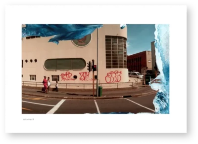 Dave Robertson - Salt River 9