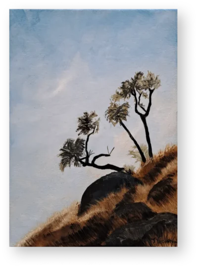 Jeremiah Van der Want - Trees