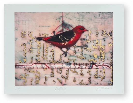 South African Artist