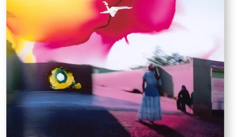 Dave Robertson, Transition Fifteen_20cm x 15cm_ink and acrylic on photograph