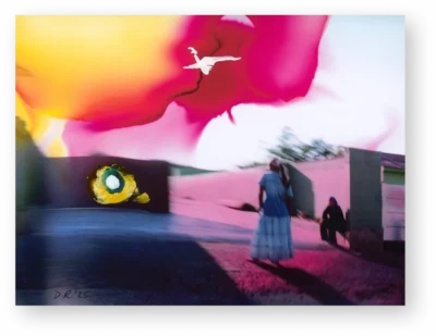 Dave Robertson - Transition Fifteen